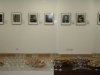img_4301_1024x683_800x534